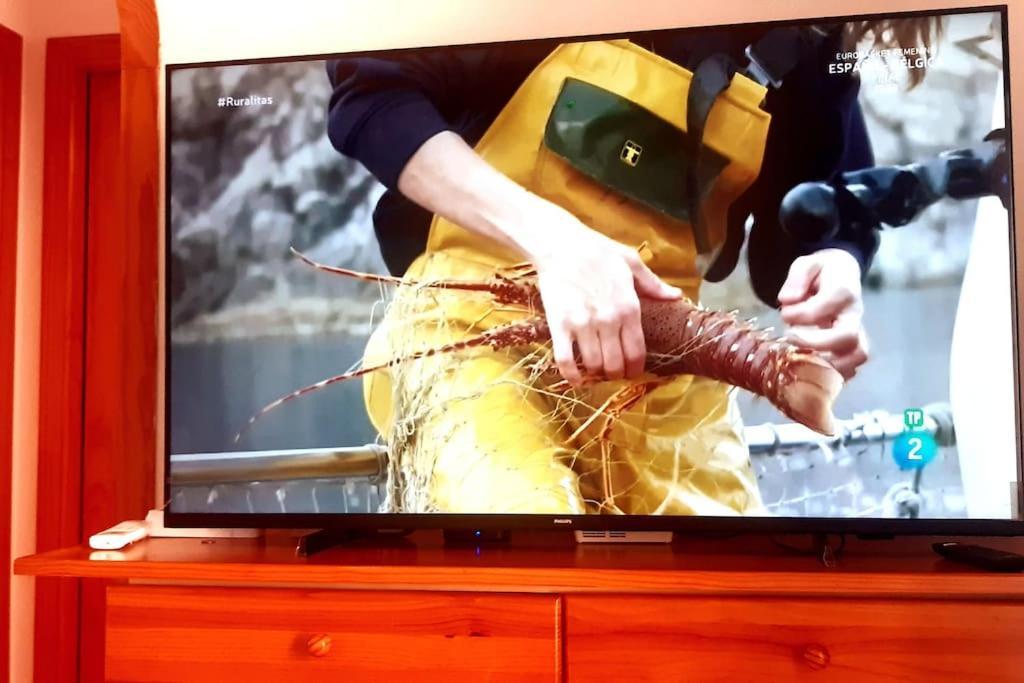 또레비에하 Adventure Harbour 아파트 외부 사진